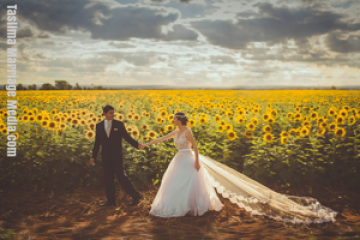 Top Matrimonial website Bangladesh | Taslima Marriage Media